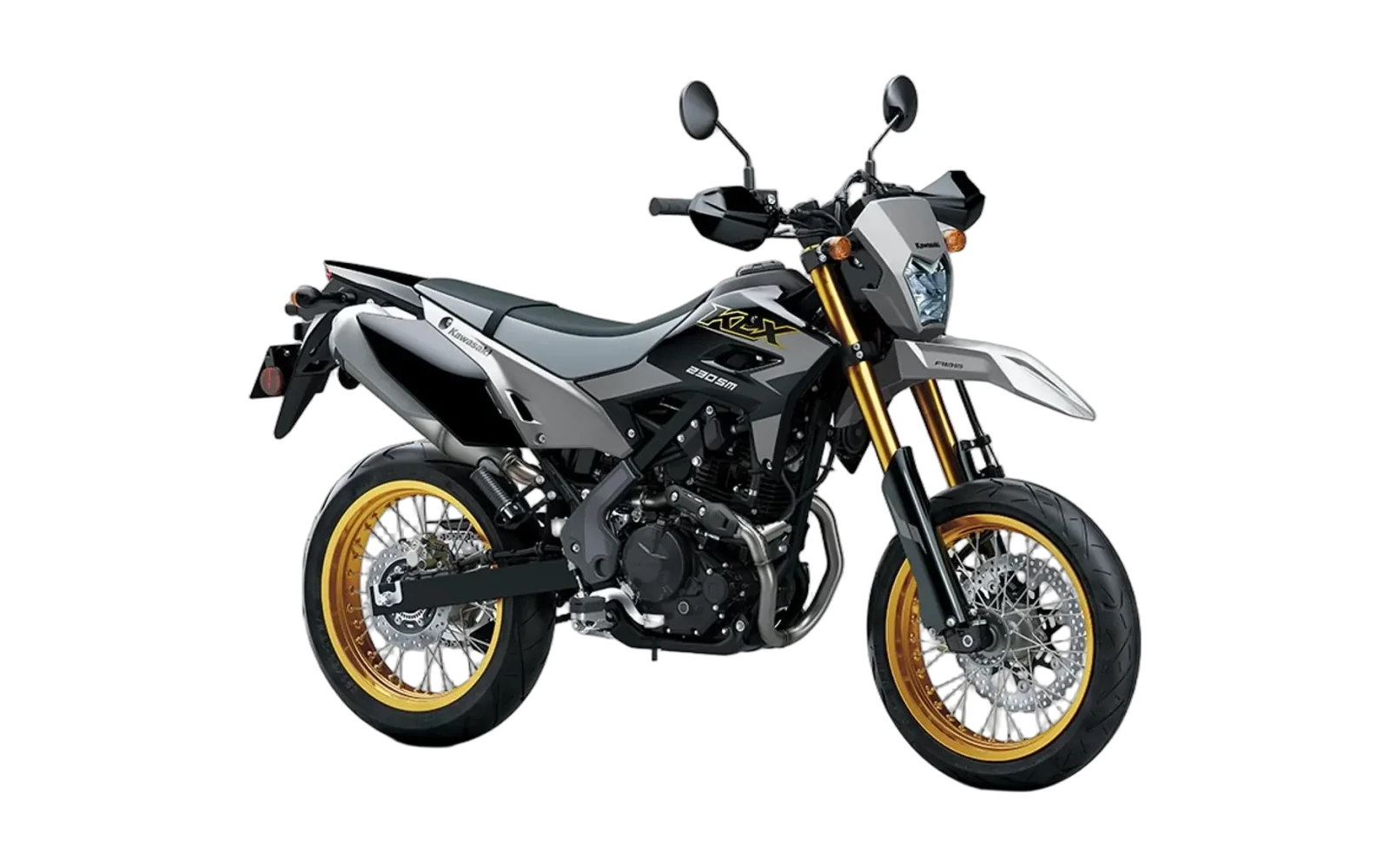 Kawasaki KLX230 SM, grey